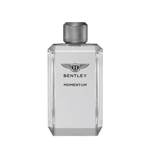 ادکلن بنـتلی ممـنتوم (BENTLEY_Momentum 100ml)